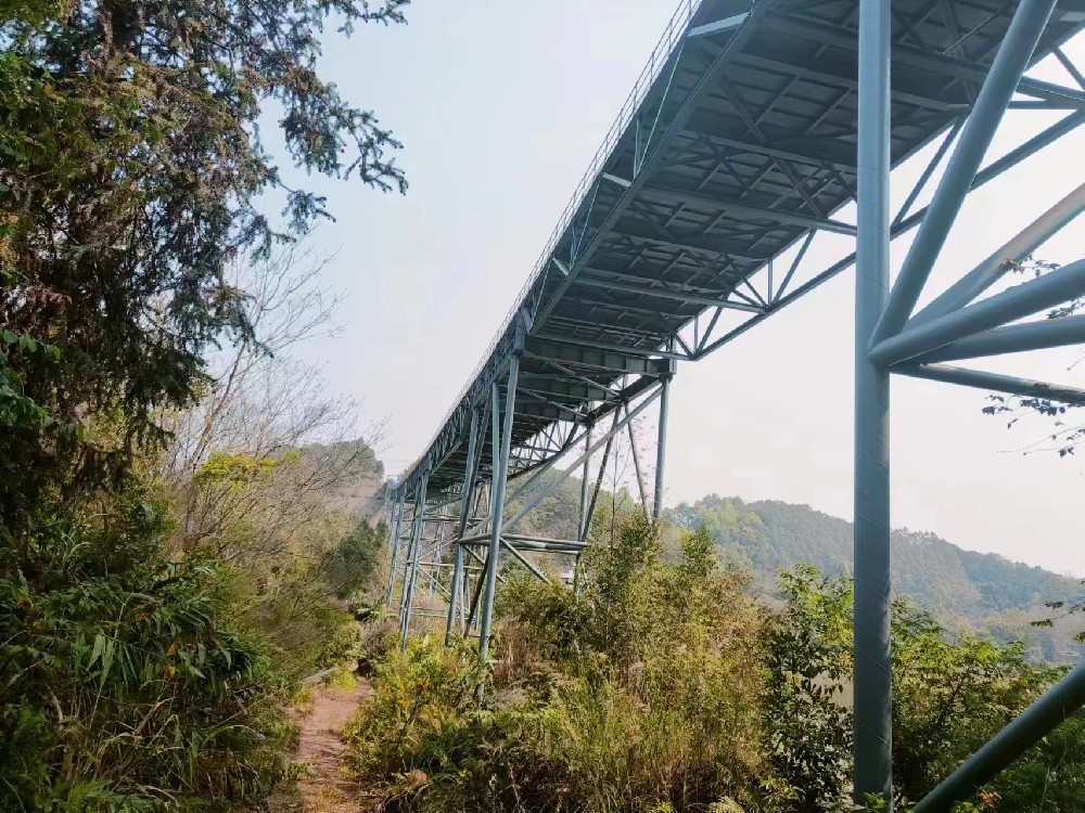 景区铁索桥安全结构鉴定